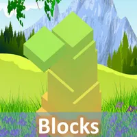 Max Blocks Rectangles