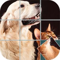 MovingPuzzles