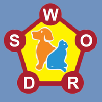 Word guesser. Word game