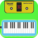 Pianika Basuri Melodica