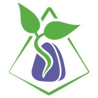 Magis: The story of Rune Grove