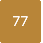 Bird shooter (sevens seventh)