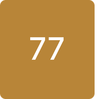 Bird shooter (sevens seventh)