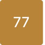 Bird shooter (sevens seventh)