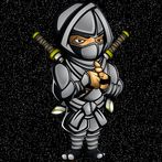 Ninja Run