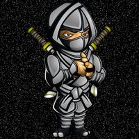Ninja Run