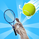 Tennis Cat - Funny Meme Cat
