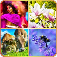 Tile Puzzle - Beautiful Mosaic