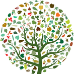 Plants Game Scientific Name