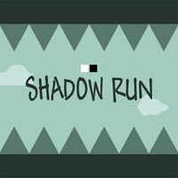 Shadow Run