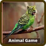 Guess Picture Animal Game