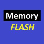 Memory Flash - Fast Paced Numb