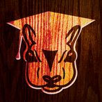 Squirreled® Classroom