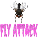 Fly Attack