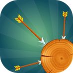 Focus Shot Archery Master