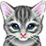 Save The Cat