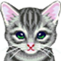 Save The Cat
