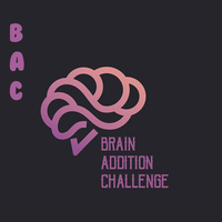 Brain Addition Challenge