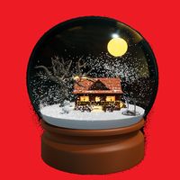 Snow Globe