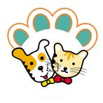 Catcher Game For Dogs & Cats