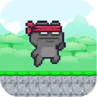 Super Ninja Adventure