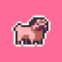 SUPER Farting Dogs
