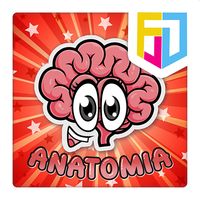 Anatomia