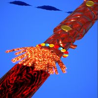 Cylinder of the Rings & Anti S