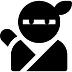 Ninja Zili
