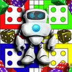 Dice Robot