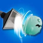 Bust The Ghost