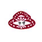 Year of the Tiger Intl