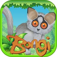 Bongi the bush baby