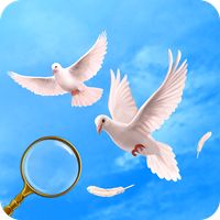 Wedding Hidden Objects