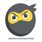 Salesforce Certification Ninja