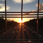 Rippling wheat fields