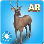 Animal in Ar
