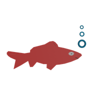 Small Red Fish 2