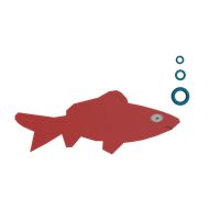 Small Red Fish 2