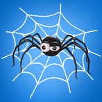 Spider Web