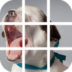 Rompecabeza de Cachorros