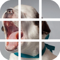 Rompecabeza de Cachorros