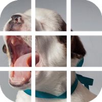 Rompecabeza de Cachorros