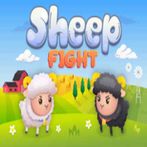 Sheep fight
