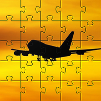 Puzzle passenger airliner