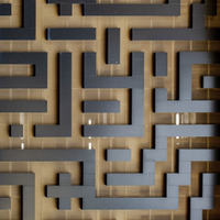 Maze Puzzle