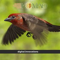 Αναγνώριση πτηνών