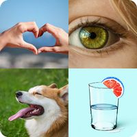 4 Fotos 1 Palabra 2023