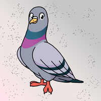 Rescue The Rock Pigeon