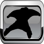 Wingsuit Racer